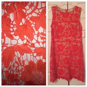 Beautiful Coral lace Eci Dress